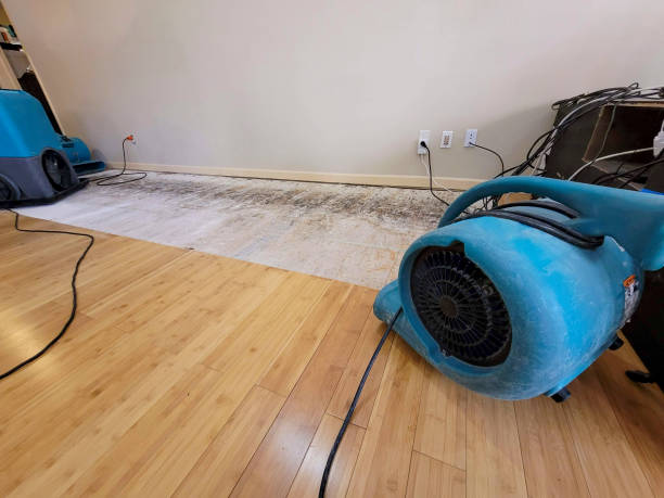 Professional Water Extraction technician working in Evansville, WY